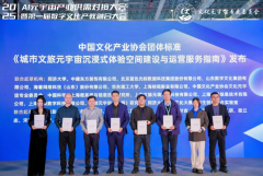 <strong>国文化财产协会正在第六届长三角国际文</strong>
